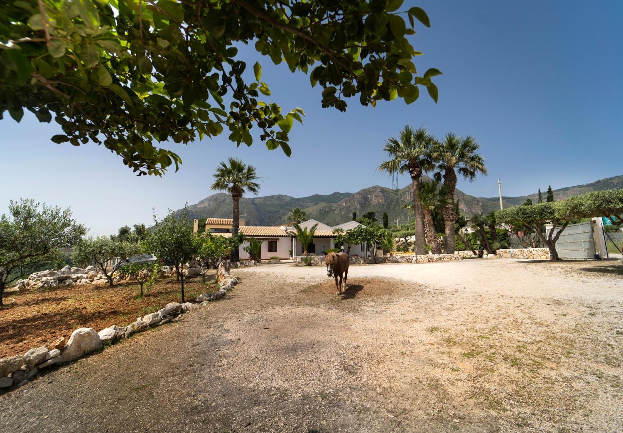 B&B Kore Castellammare del Golfo Εξωτερικό φωτογραφία